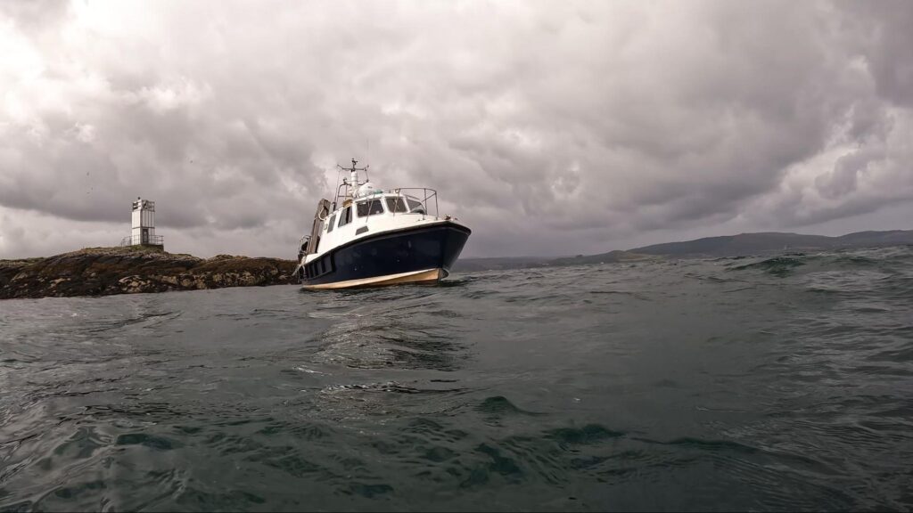 A white boat with blue hull.