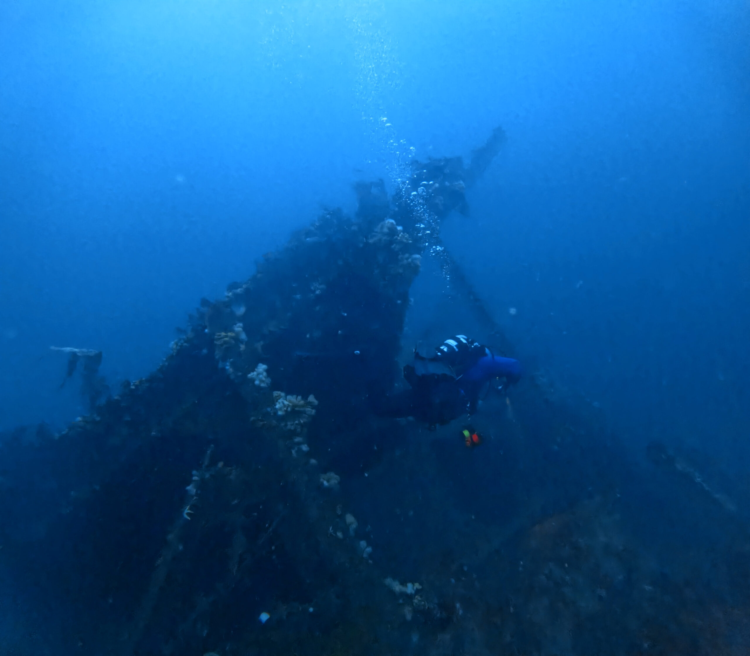 Diver in front of the Tapti