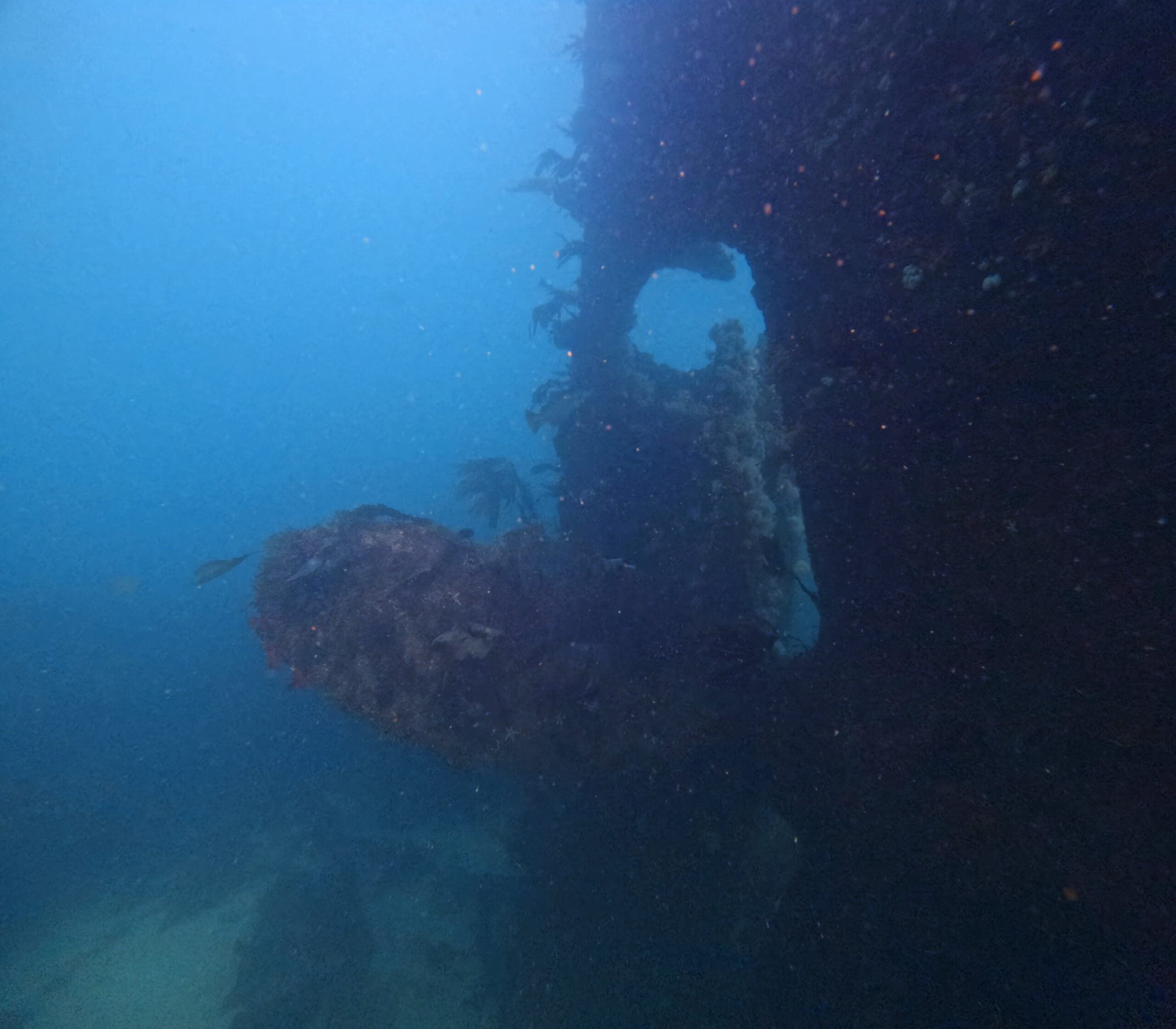 Rudder of SS Meldon