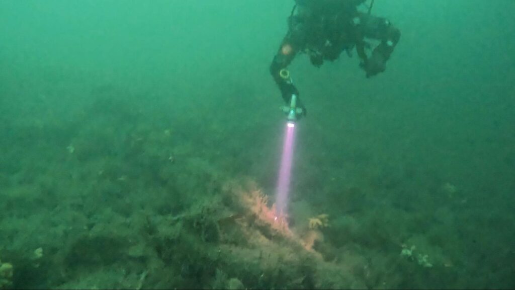 A diver hovers mid-water, pointing their torch at the overgrown anchor