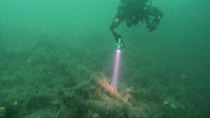 A diver hovers mid-water, pointing their torch at the overgrown anchor